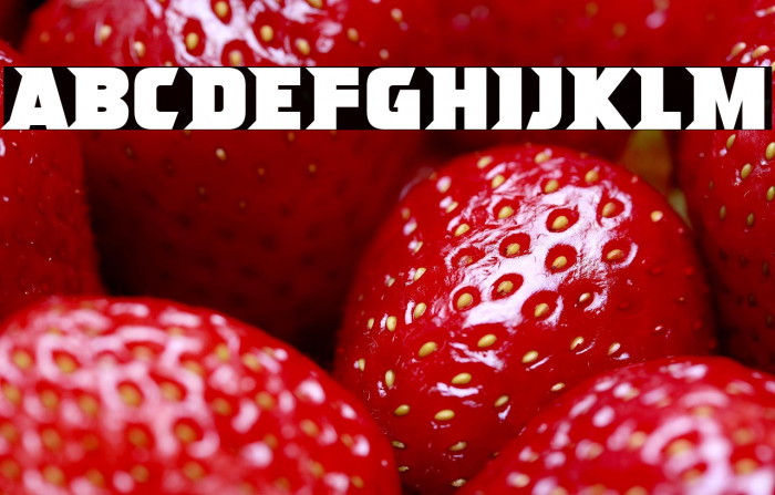 Ninja Attack Example 3