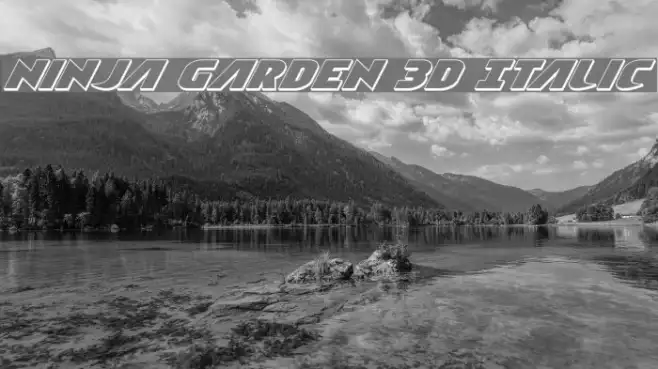 Ninja Garden 3D Italic Example 2