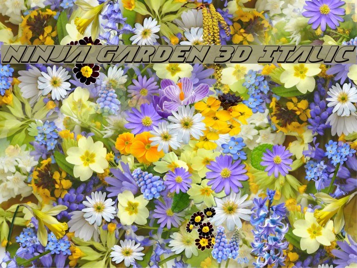 Ninja Garden 3D Italic Font examples