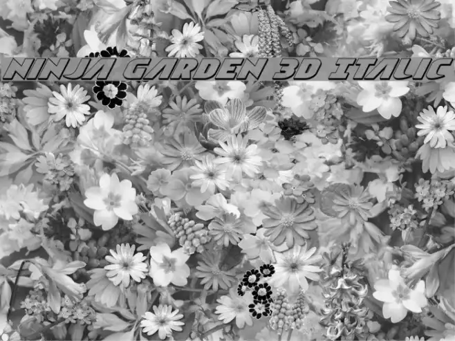 Ninja Garden 3D Italic Example 3