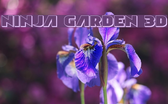 Ninja Garden 3D Font examples