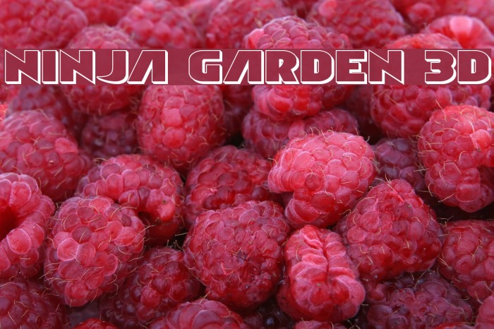 Ninja Garden 3D Font examples