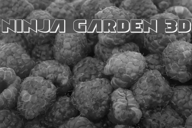 Ninja Garden 3D Example 2