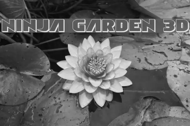 Ninja Garden 3D Example 3