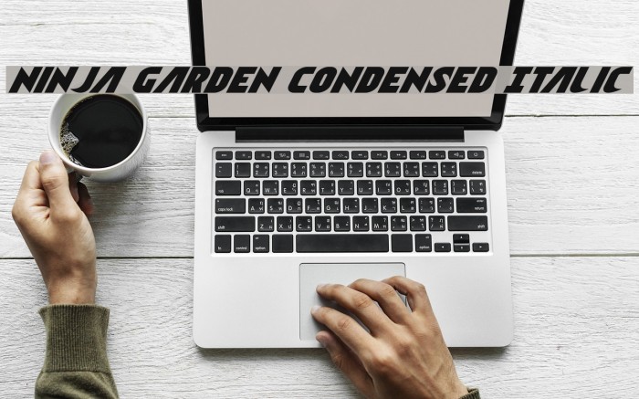 Ninja Garden Condensed Italic Font examples