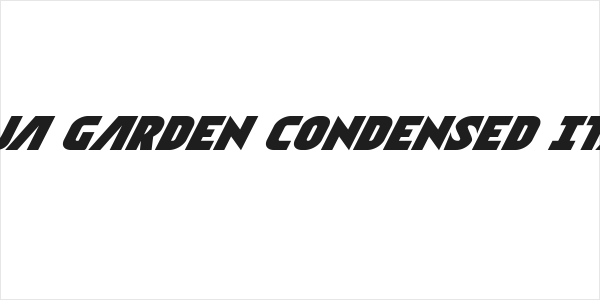 Ninja Garden Condensed Italic Logo