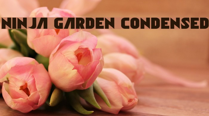 Ninja Garden Condensed Example 1