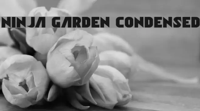 Ninja Garden Condensed Font examples
