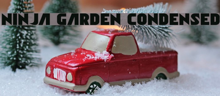 Ninja Garden Condensed Example 2