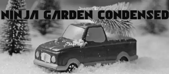 Ninja Garden Condensed Font examples