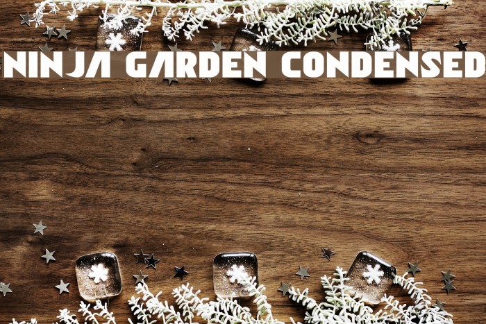 Ninja Garden Condensed Example 3