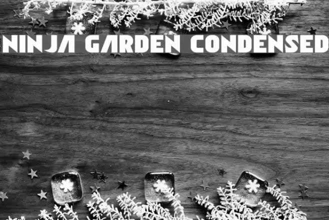 Ninja Garden Condensed Font examples