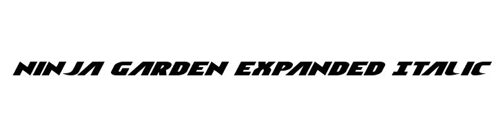 Ninja Garden Expanded Italic  Free Fonts Download