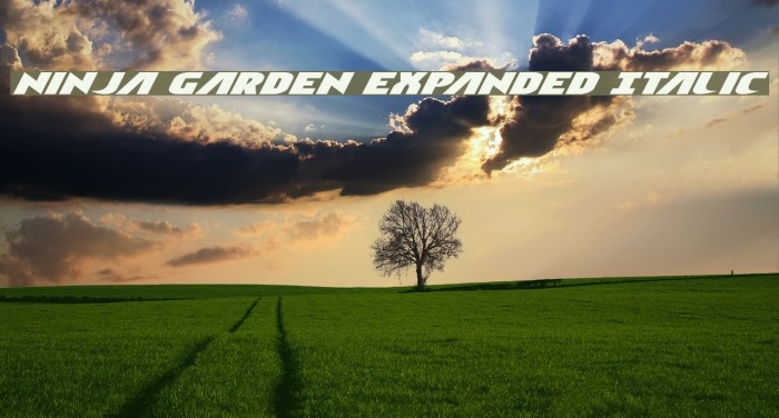 Ninja Garden Expanded Italic Example 1