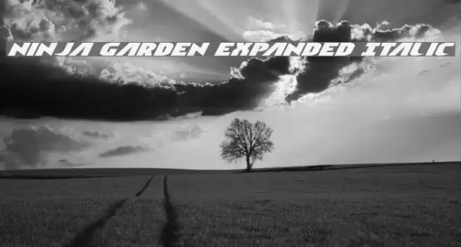 Ninja Garden Expanded Italic Font examples