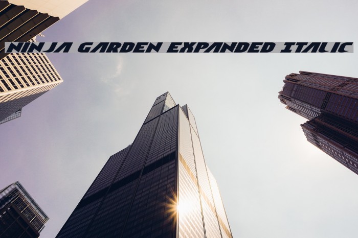 Ninja Garden Expanded Italic Example 2