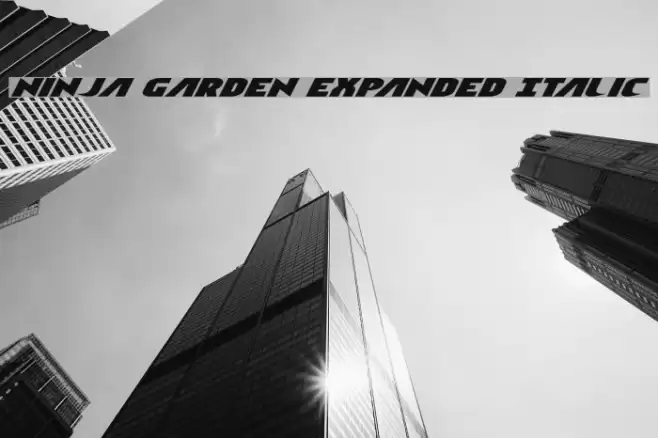Ninja Garden Expanded Italic Font examples