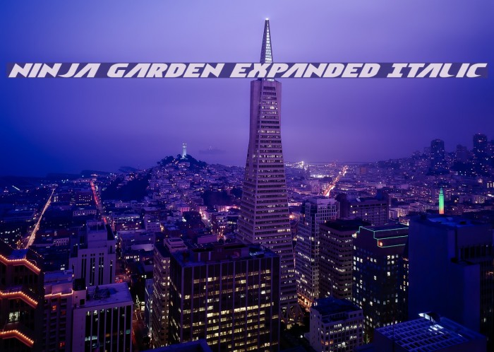 Ninja Garden Expanded Italic Example 3