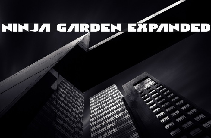 Ninja Garden Expanded Example 2