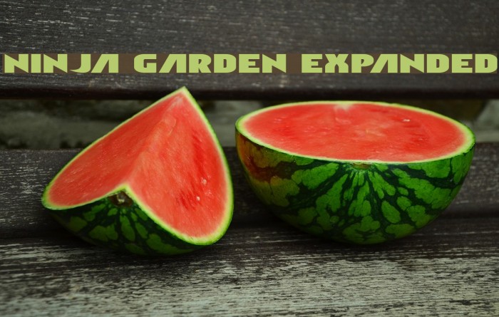 Ninja Garden Expanded Example 3