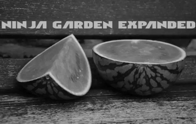 Ninja Garden Expanded Font examples