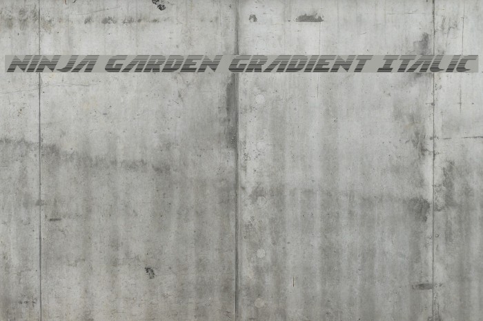 Ninja Garden Gradient Italic Example 3