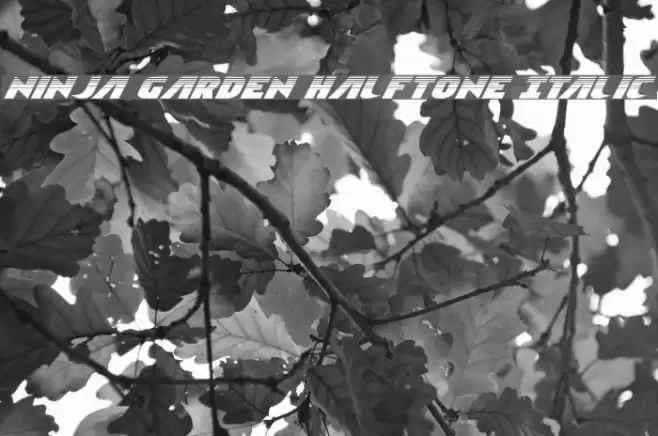 Ninja Garden Halftone Italic Font examples