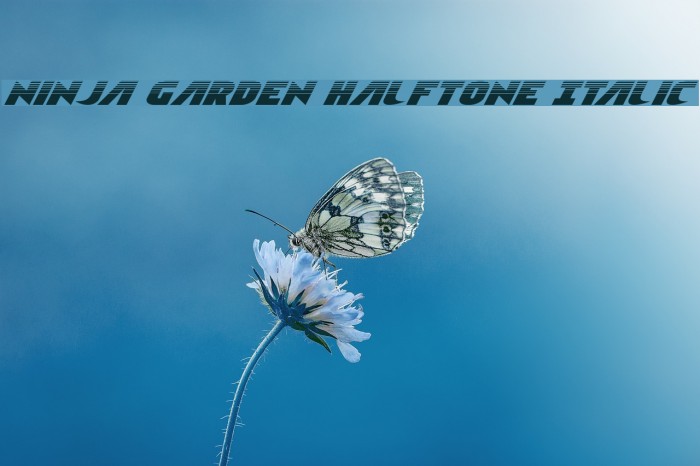 Ninja Garden Halftone Italic Example 3