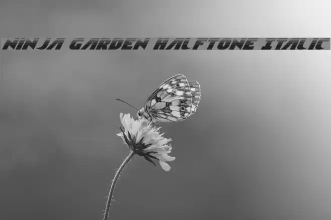 Ninja Garden Halftone Italic Font examples