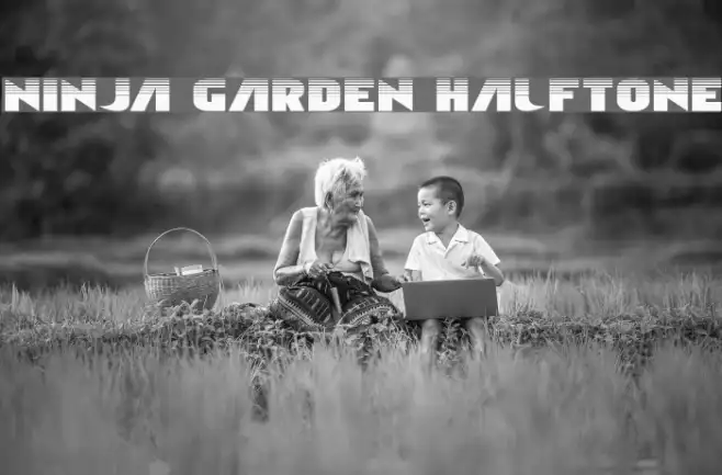 Ninja Garden Halftone Example 2
