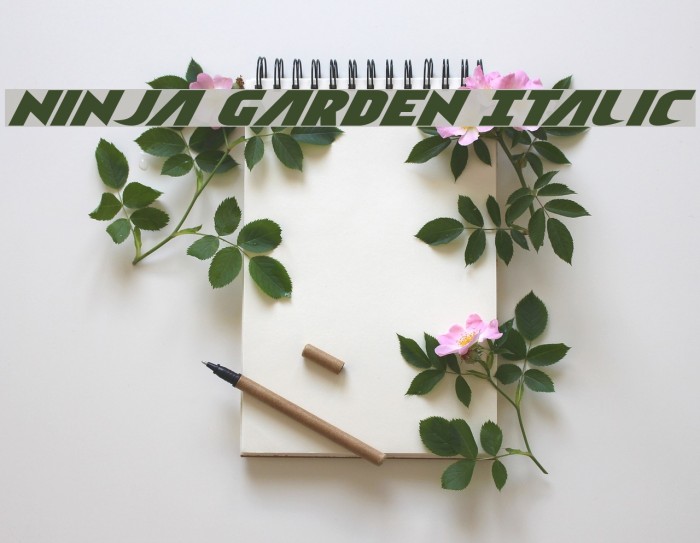 Ninja Garden Italic Font examples