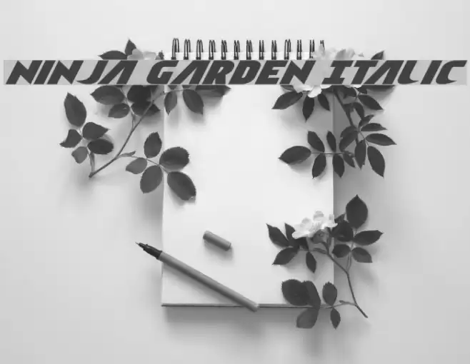 Ninja Garden Italic Font examples