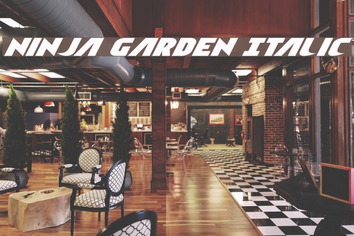 Ninja Garden Italic Font examples