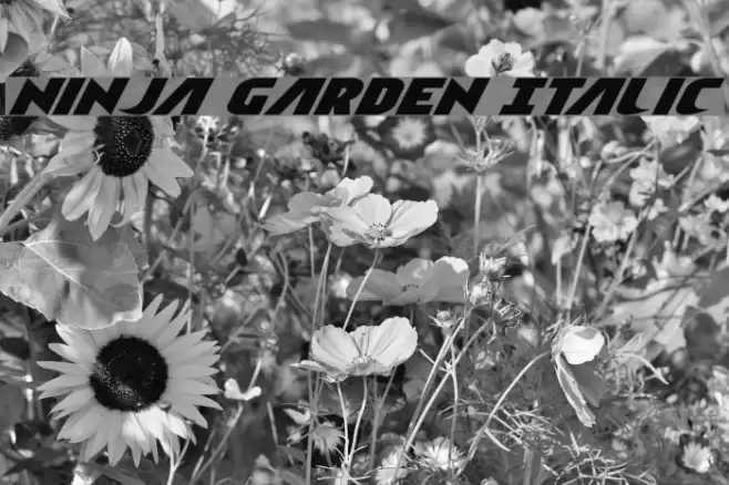 Ninja Garden Italic Font examples