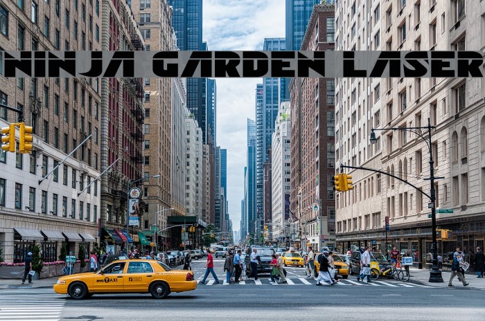 Ninja Garden Laser Example 1