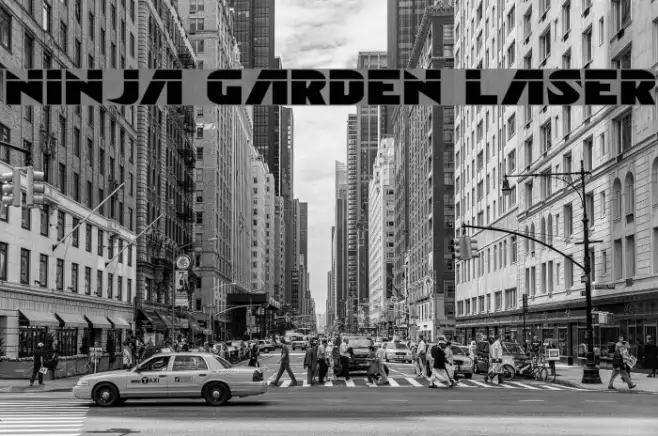 Ninja Garden Laser Example 1