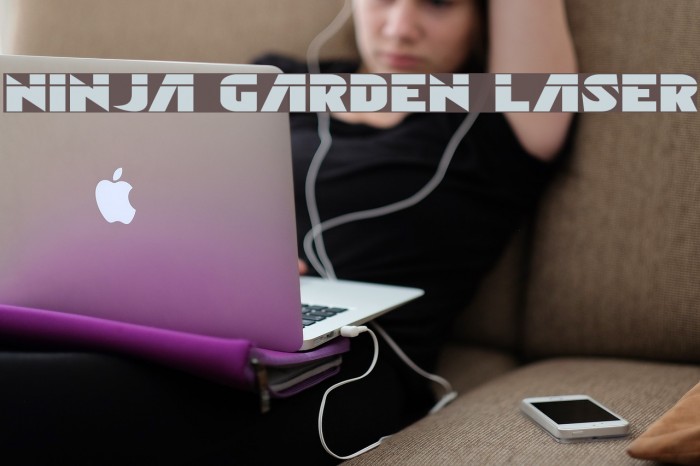 Ninja Garden Laser Example 2