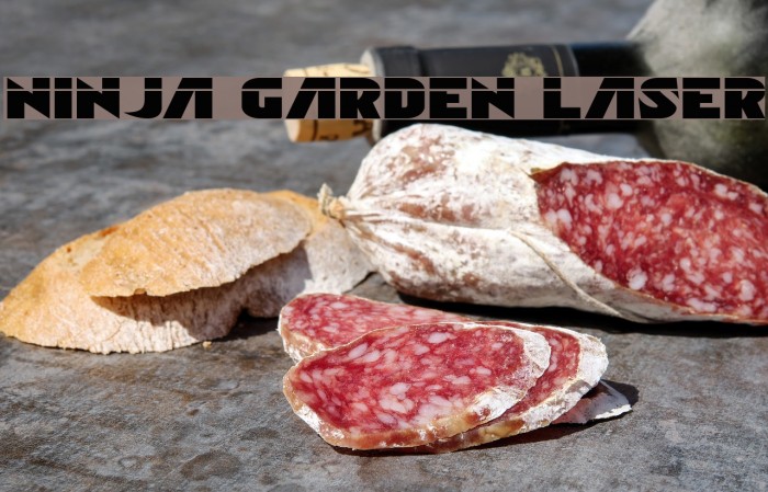 Ninja Garden Laser Example 3