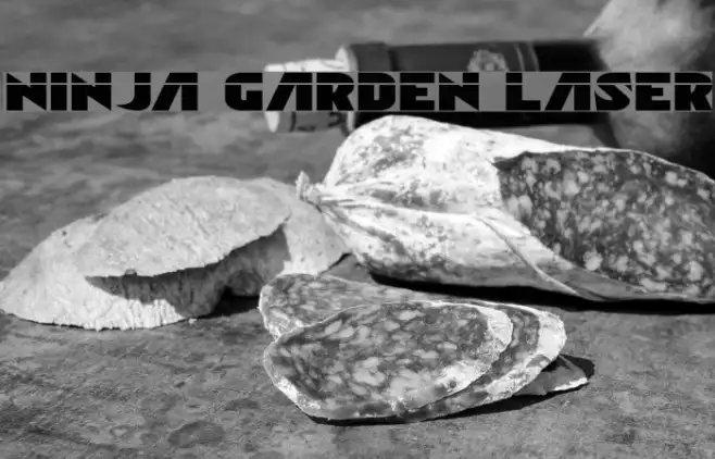 Ninja Garden Laser Example 3