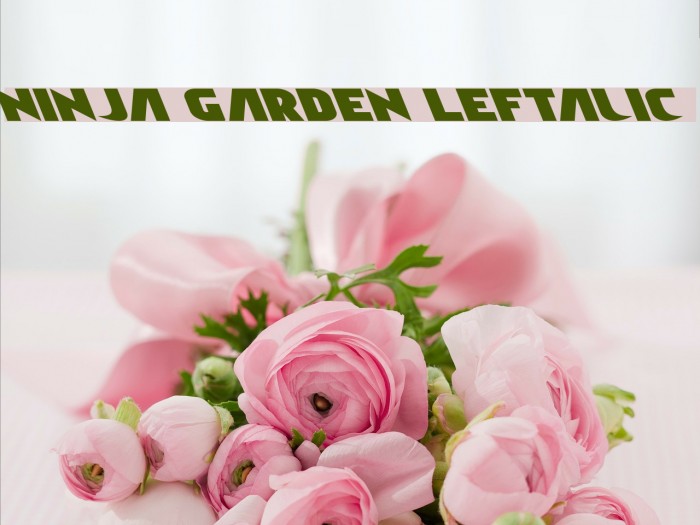 Ninja Garden Leftalic Font examples
