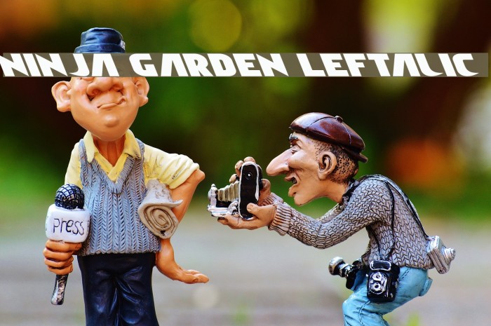 Ninja Garden Leftalic Font examples