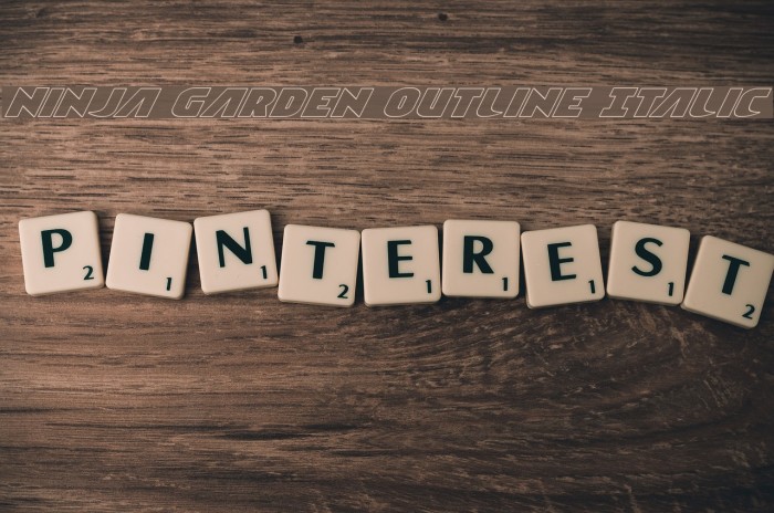 Ninja Garden Outline Italic Font examples