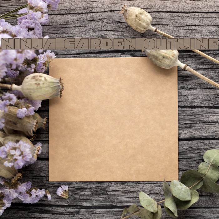 Ninja Garden Outline Example 2