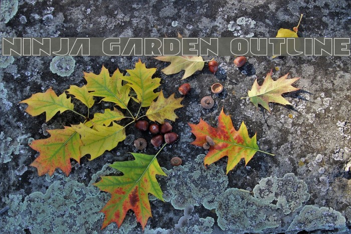 Ninja Garden Outline Example 3