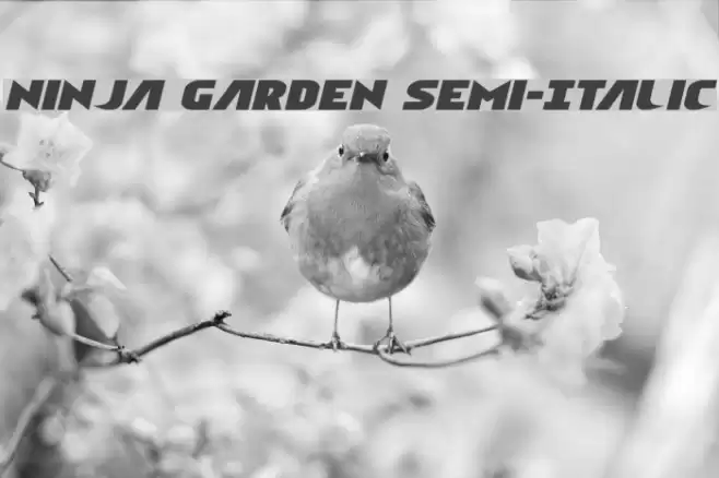 Ninja Garden Semi-Italic Font examples