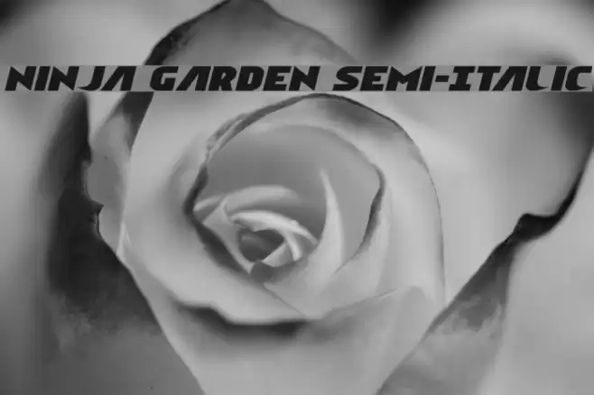 Ninja Garden Semi-Italic Font examples