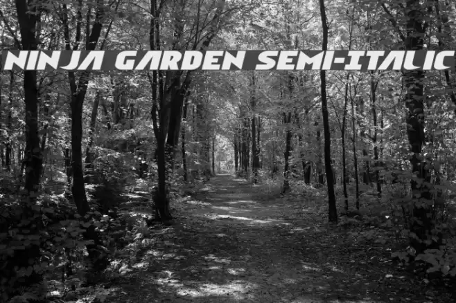Ninja Garden Semi-Italic Font examples