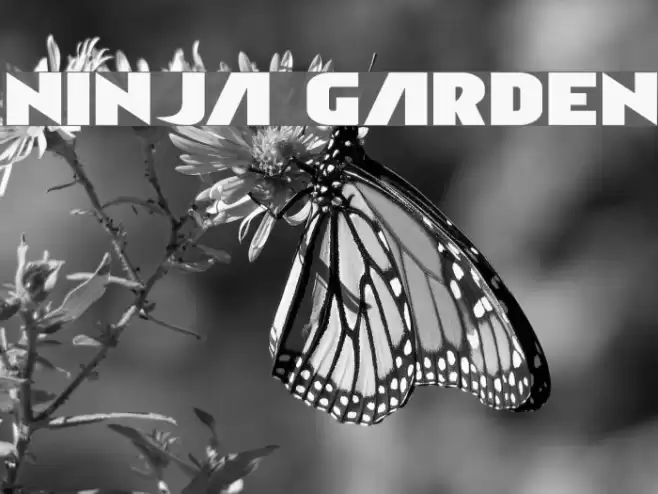 Ninja Garden Font examples
