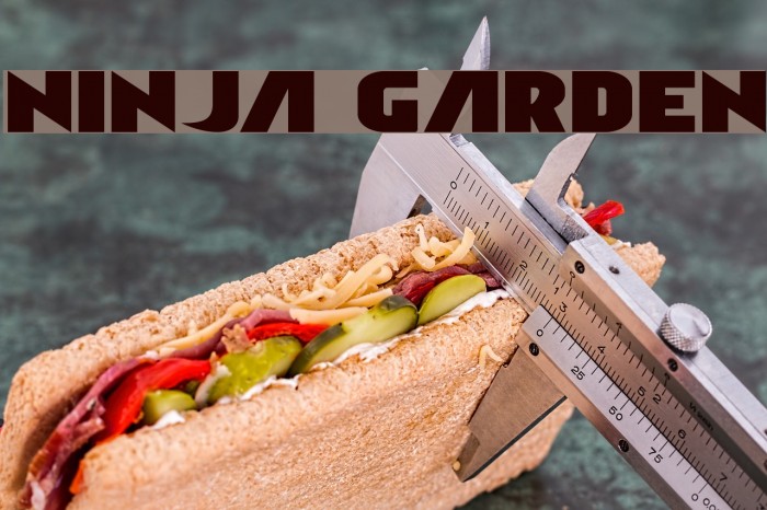 Ninja Garden Font examples