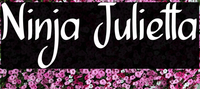 Ninja Julietta Font examples